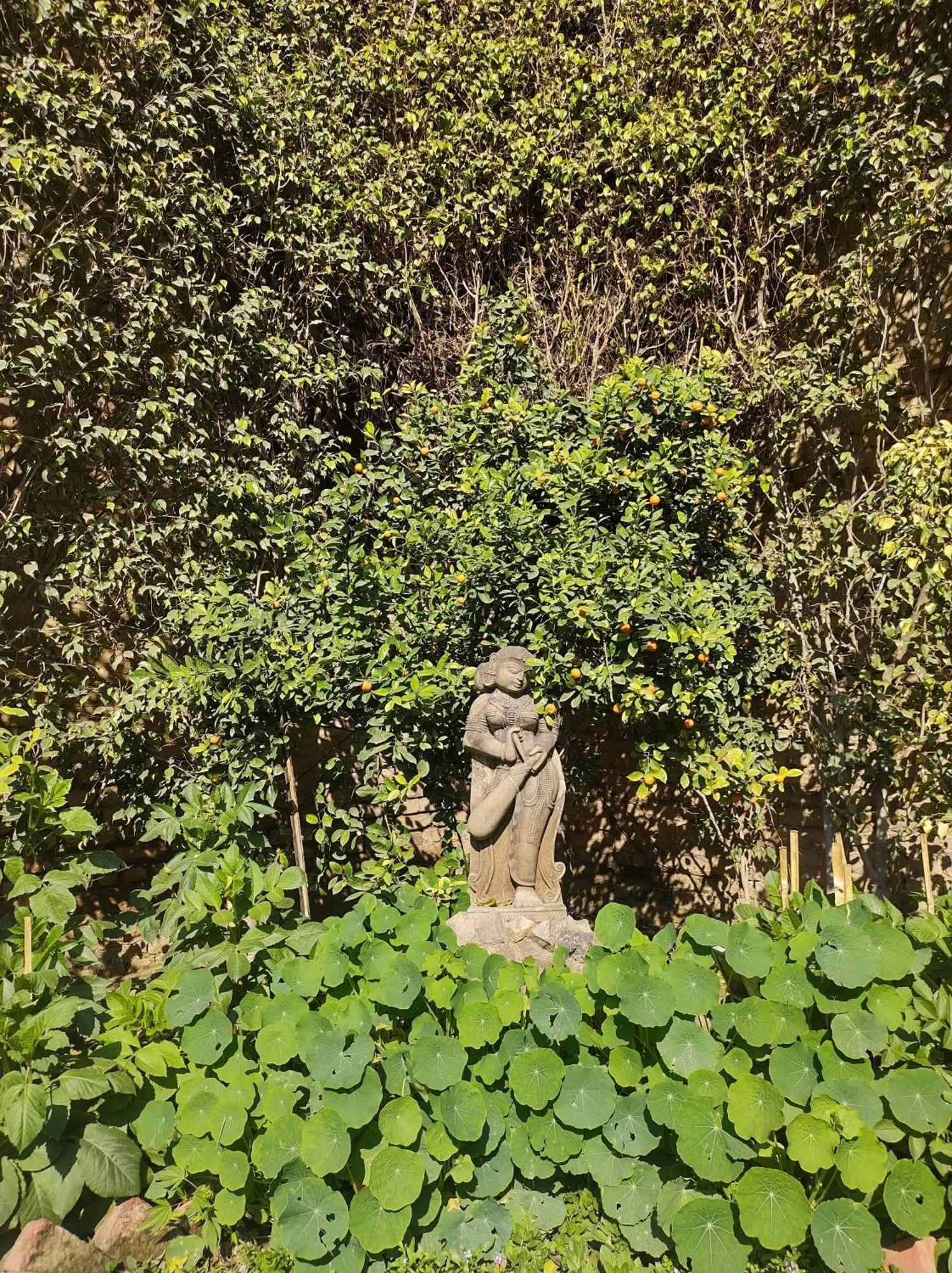 The Estate Villa New Delhi Bagian luar foto